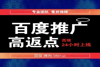 SEM推广竞价托管成功案例解析